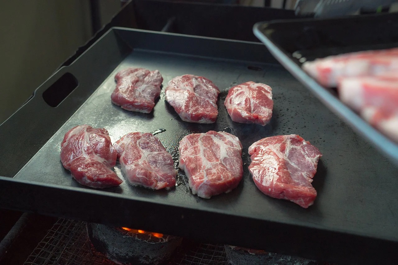 Que cuisiner à la plancha électrique ?